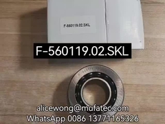 Cuscinetti differenziali per autoveicoli