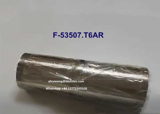 F-53507.T6AR sei file di cuscinetti a rullo cilindrici a spinta a più fasi cuscinetti tandem 22*70*182mm