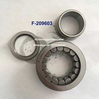 F-209603 Cuscinetti per pompe idrauliche con cuscinetti a rulli cilindrici pieni